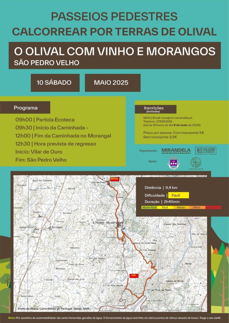 Passeio Pedestre 'O Olival com Vinho e Morango' | São Pedro Velho