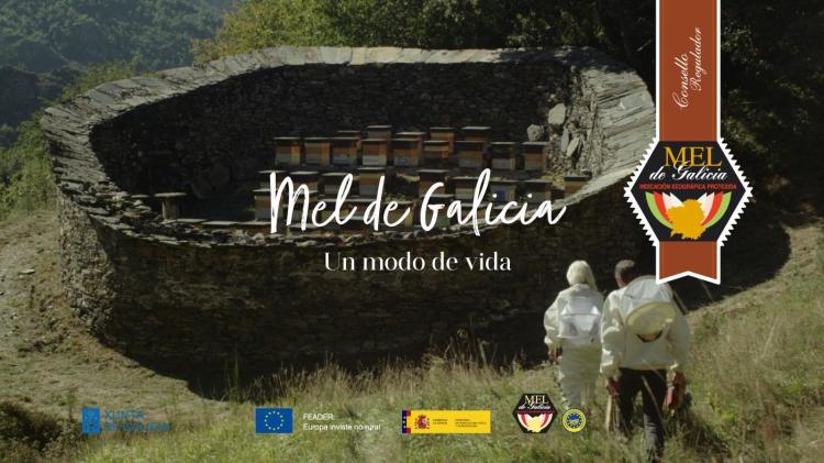 Un modo de vida: mel de Galicia, disfrútao