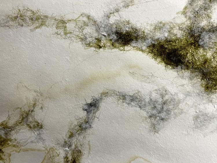 Exposição | O rio anterior a nós