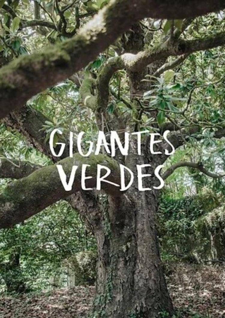 Caminhada Interpretativa - Gigantes Verdes