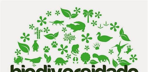Comemoração do Dia Internacional da Biodiversidade