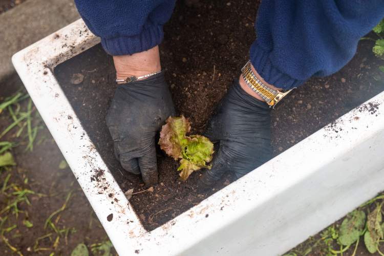 Workshop 'Cuidar da Horta'