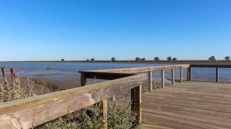 Ação de campo na praia dos Pescadores