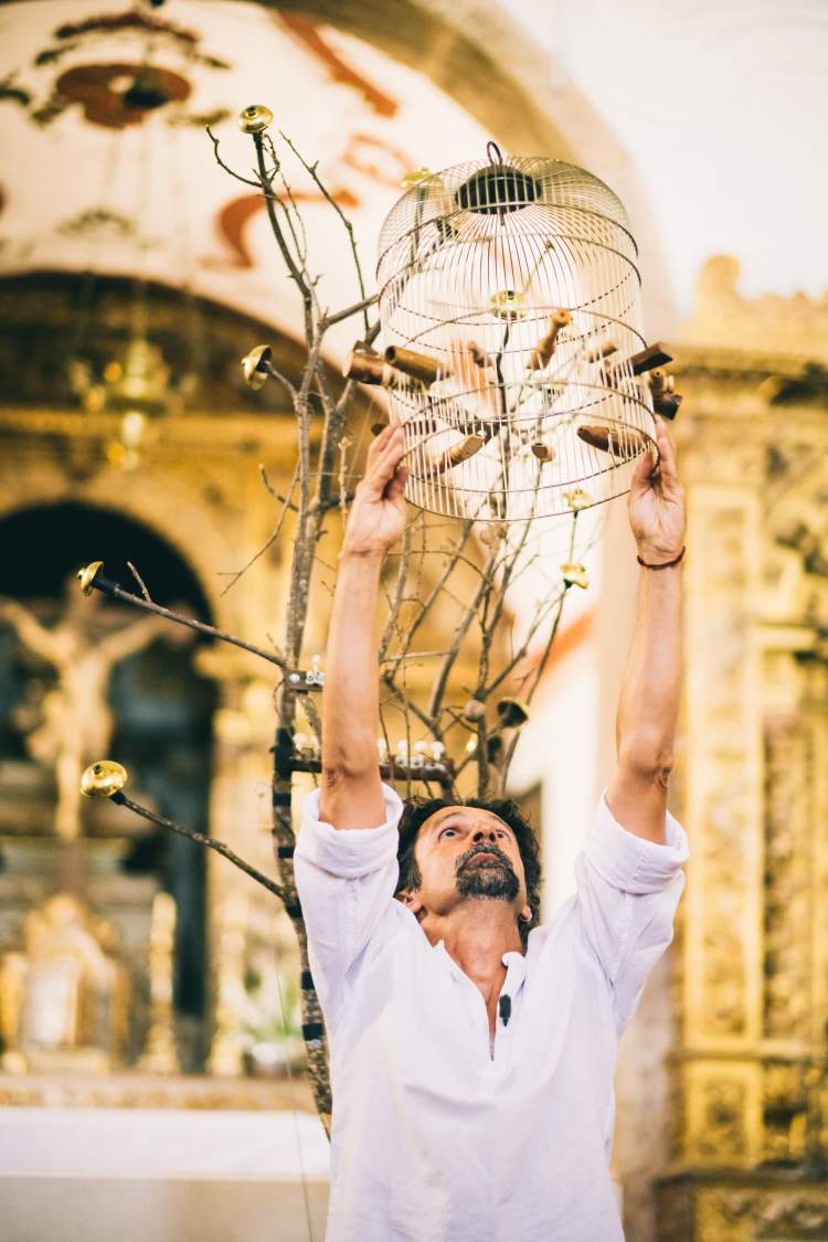 Concerto para uma Árvore