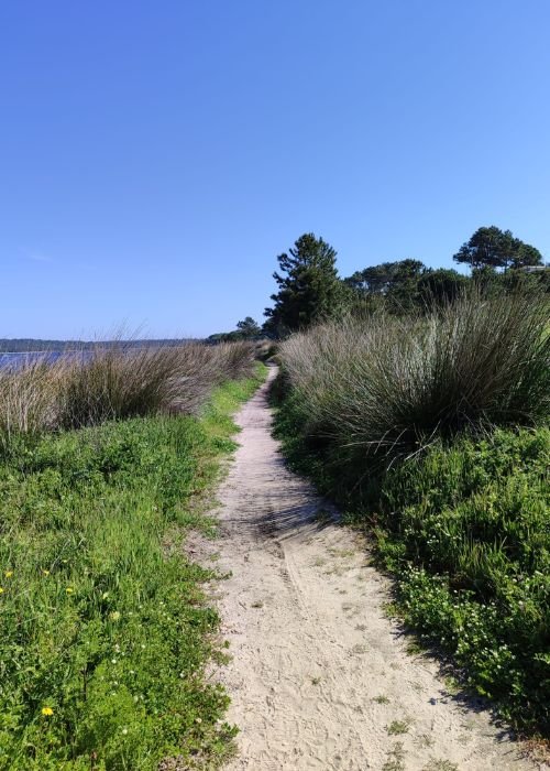 Peddy-paper À Descoberta da Lagoa e da Várzea