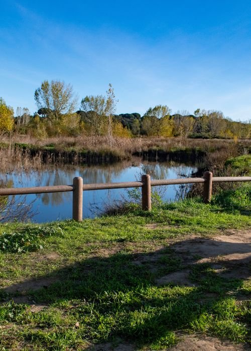 Várzea da Ribeira de Coina