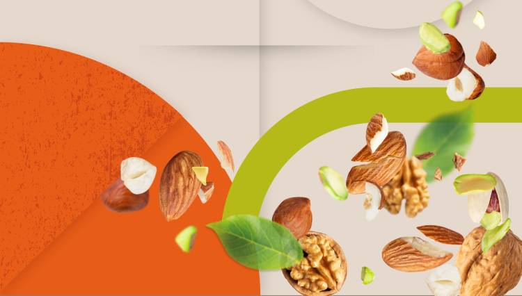 IV Congresso Portugal Nuts