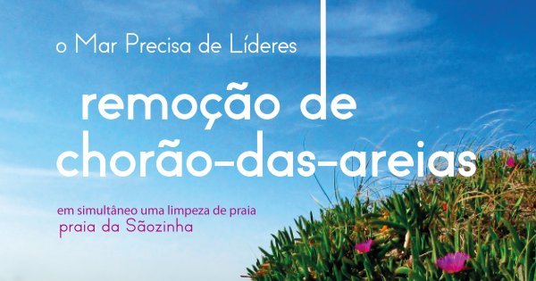 Remoção do chorão-das areias