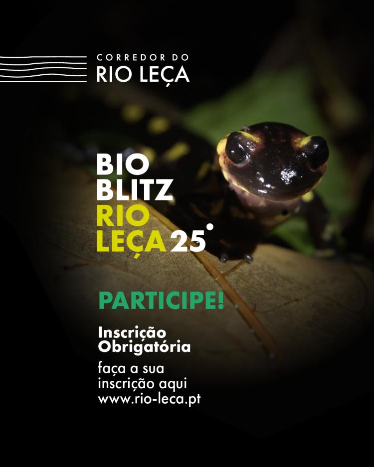 BIOBLITZ - Rio Leça 2025
