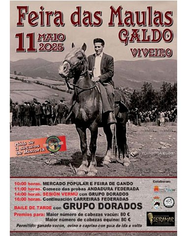 FEIRA DAS MAULAS 2025