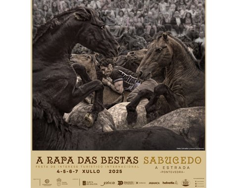 A RAPA DAS BESTAS 2025 | SABUCEDO