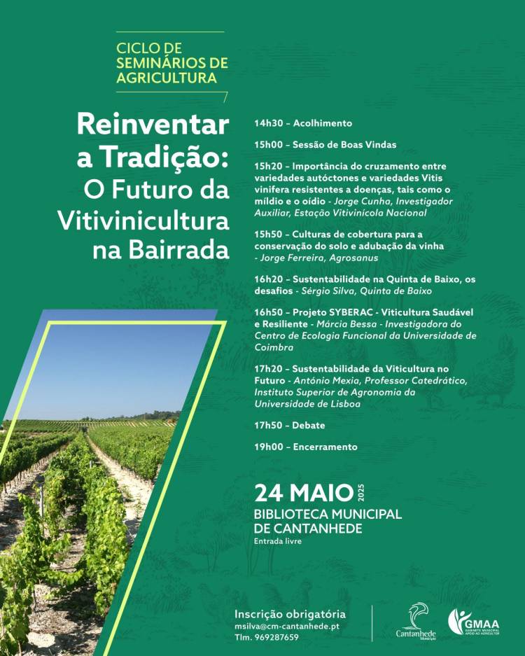 Reinventar a Tradição: O Futuro da Vitivinicultura na Bairrada'