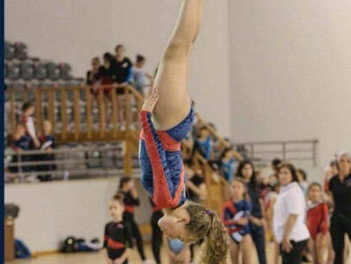 TORNEIO DE NÍVEIS, ENCONTRO DE BENJAMINS E CAMPEONATO TERRITORIAL – MINITRAMPOLIM