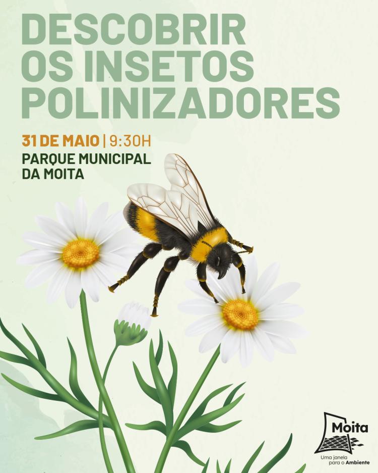 Caminhada: Descobrir os insetos polinizadores