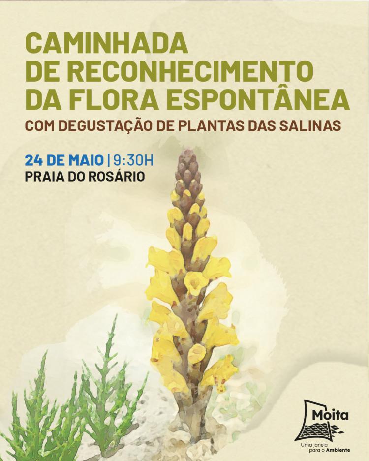 Caminhada: Reconhecimento da flora espontânea com degustação