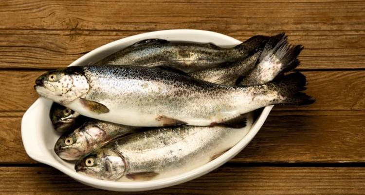 Festival Gastronómico Peixe do Rio