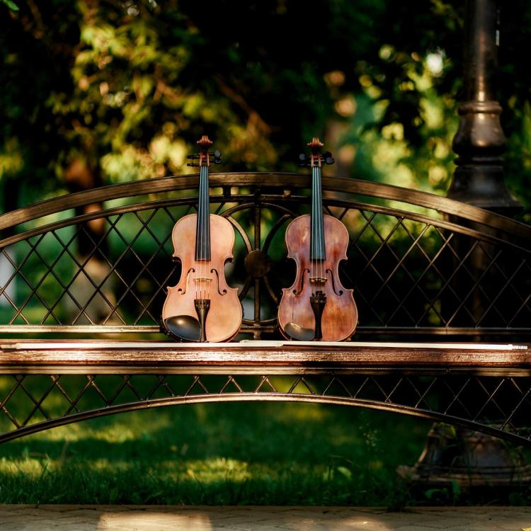 Festival Entre Quintas 2025