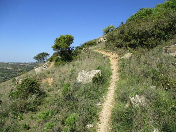 Caminhando nos Trilhos da Serra de Monfirre