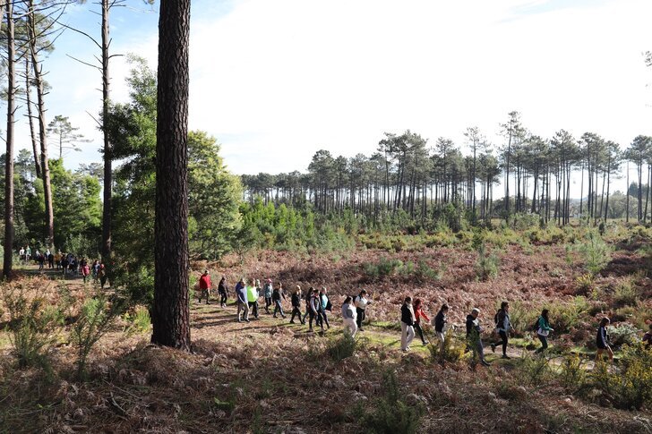 PERCURSO COM HISTÓRIA PERCORRE 'ESTRADA DO GUILHERME'
