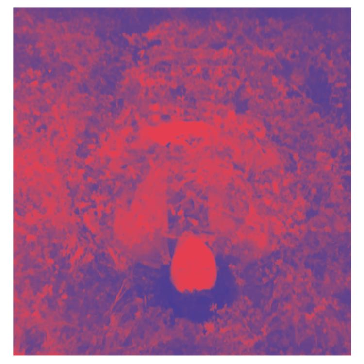 Know Who You are at Every Age