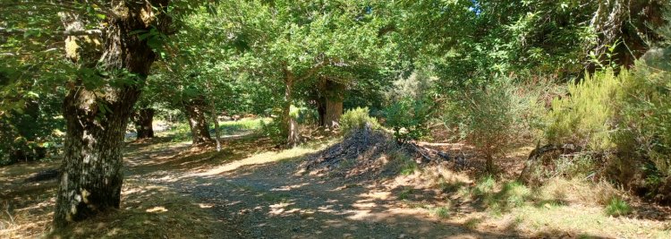 Presentación del Centro de Innovación en el Territorio (CIT) 'León Sostenible”