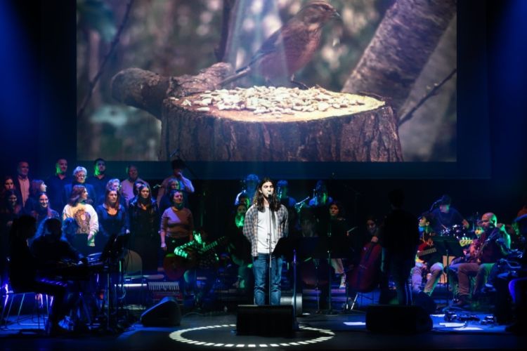 Filme Concerto 'Záguia Sul - Guarda Rios'