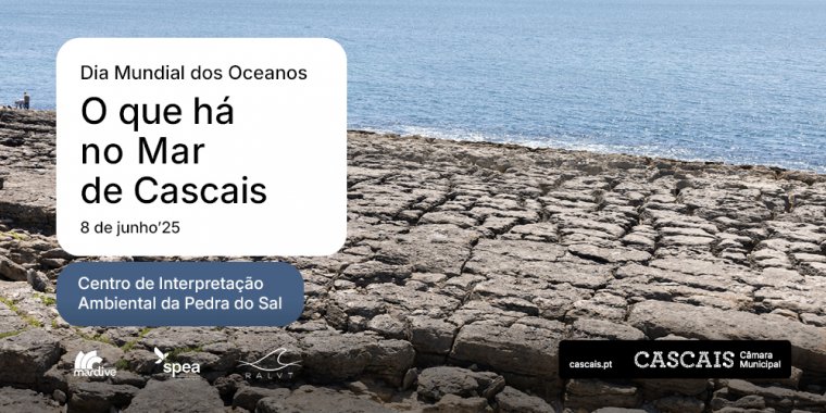 O que há no Mar de Cascais!