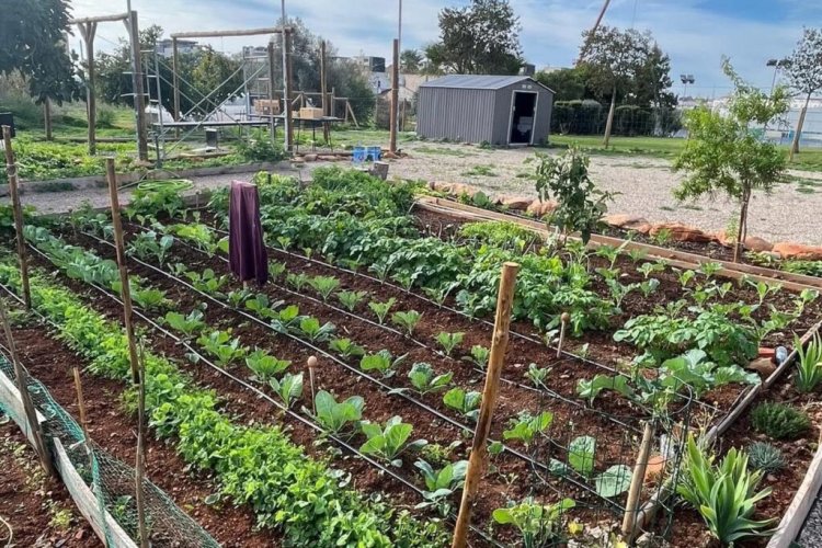 Equinócios | Há Festa na Horta!