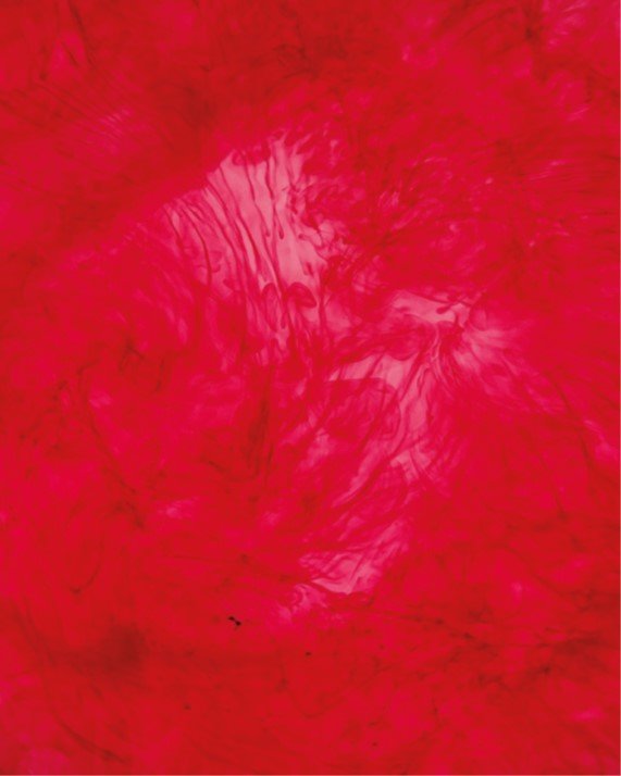 Flávia Vieira e Salomé Lamas