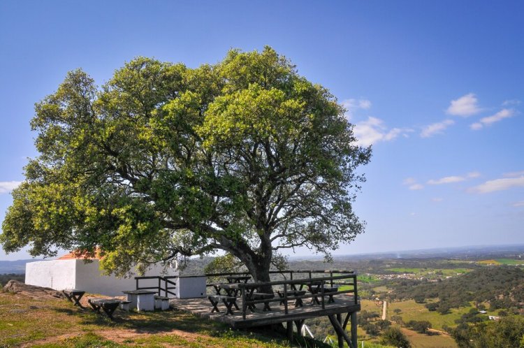 Visita interpretativa guiada ao castelo de Nossa Senhora das Neves