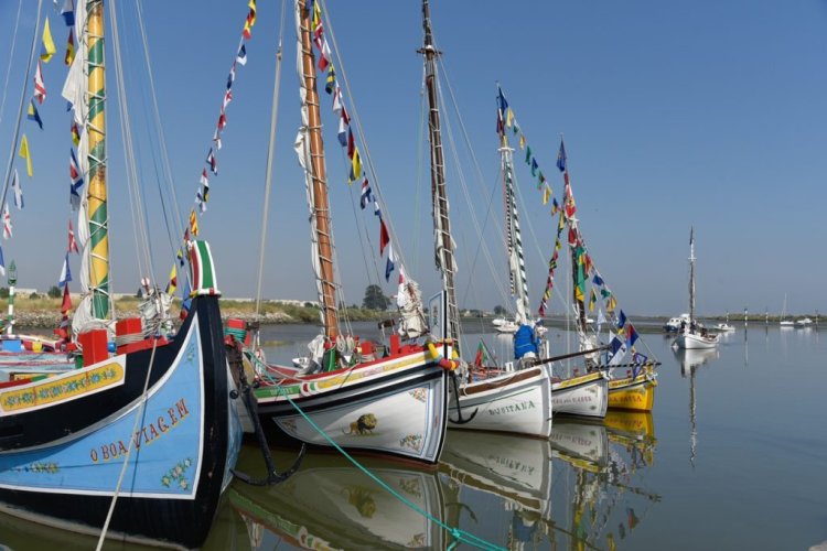 Dia da Marinha do Tejo