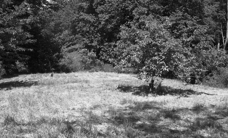 Opening: Alberto Carneiro & Charlotte Moth | Vivenciar