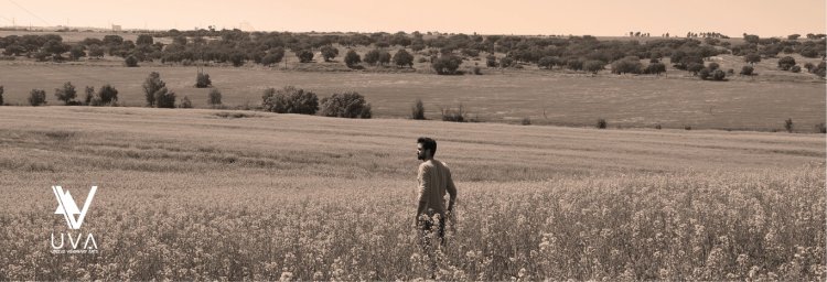 'A Minha Terra – Uma História Sobre o Colonato' [dança]