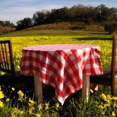 Vamos almoçar à Taberna (entrecosto e barriga de porco com migas)