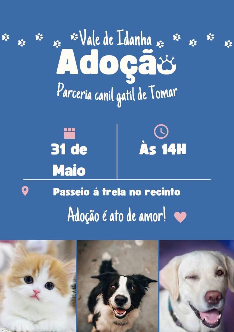 Campanha de adoção