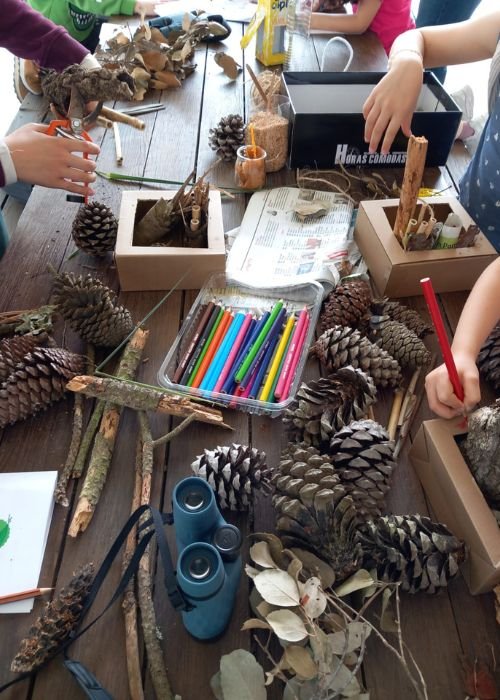 Abrigos para Insetos e Comedouros para Aves