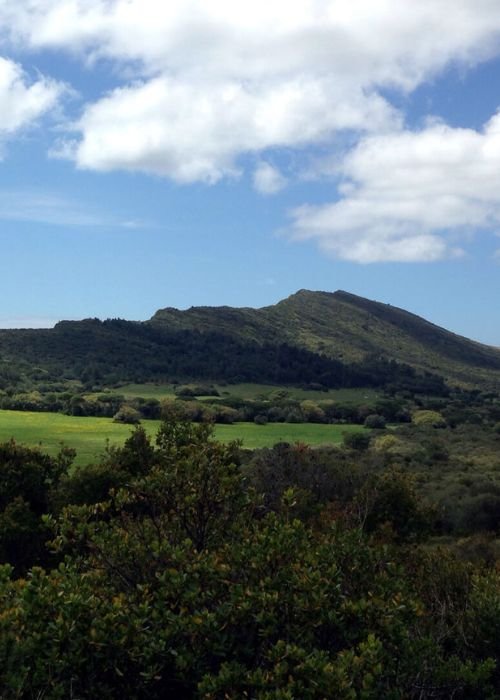 Caminhada Passos Que Restauram a Natureza
