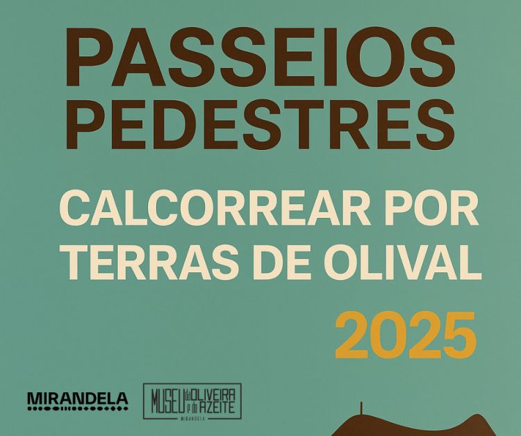 Passeio Pedestre 'O Olival e a Cortiça' | Vila Verdinho