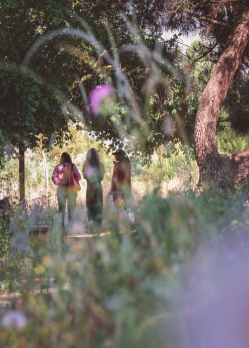 Caça ao Tesouro no Parque Ecológico da Várzea