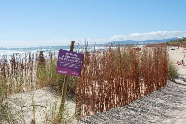 Voluntariado Ambiental Projeto Reduna - São João da Caparica