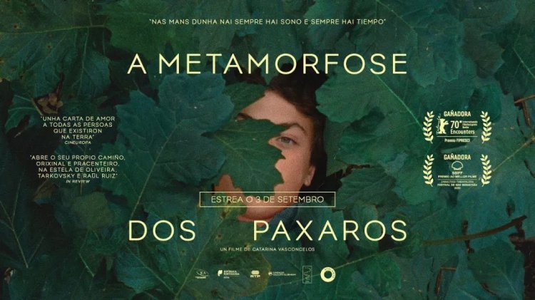 Filmoteca de Andalucía. Programación junio en Córdoba