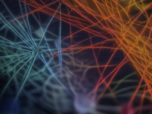 Entrega dos Prémios Científicos ULisboa/Caixa Geral de Depósitos 2025