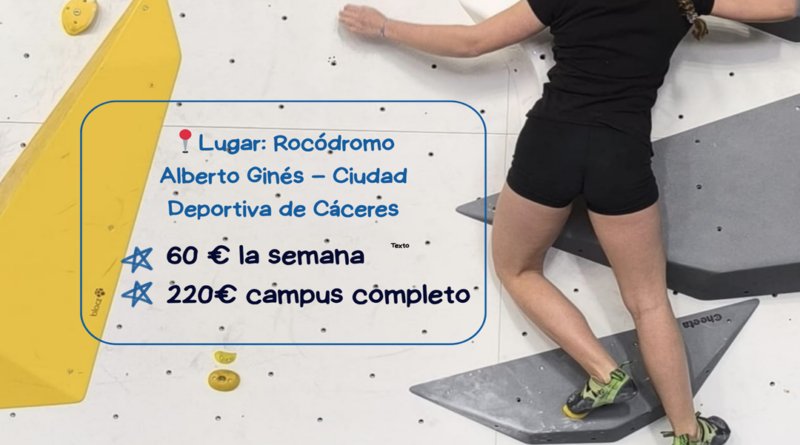 CAMPUS DE VERANO ESCALADA FEXME 2025