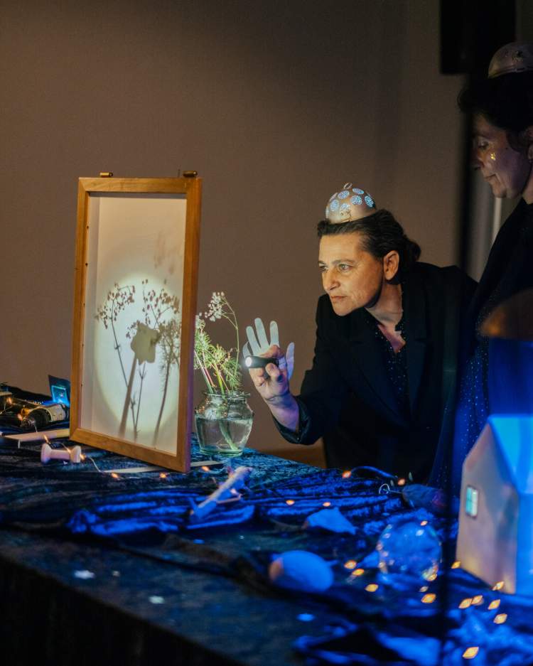 Espetáculo de Sombras | Recomeçar