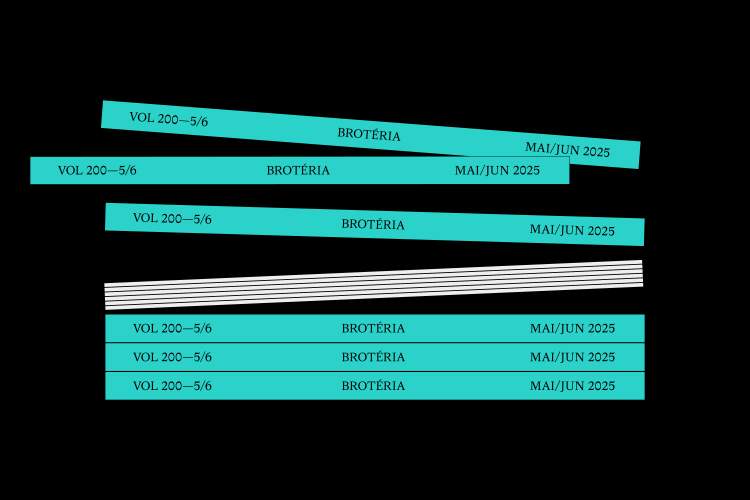Revista sai do Papel: Bisalhães e Casa de Mateus