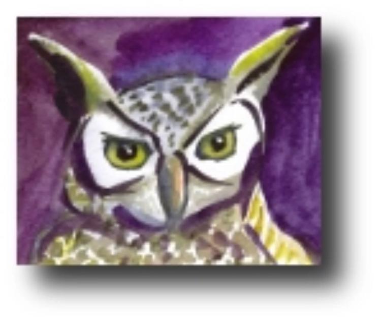 O Pé diabético ao longo da História, Luís Silveira (Médico e Professor)