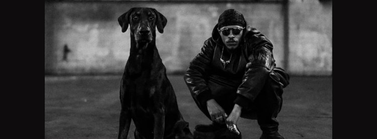 Versus apresenta Pink Siifu ⟡ ZDB