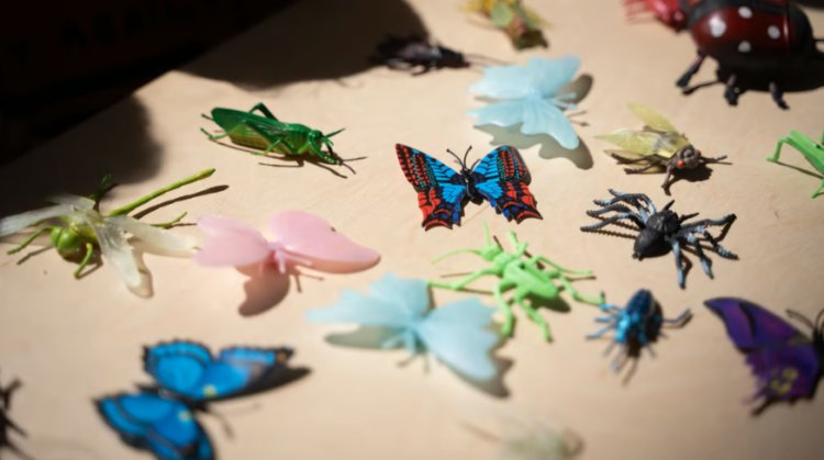 Oficina Bichos e Bicharocos