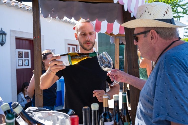 Festa do Vinho - 3.ª edição