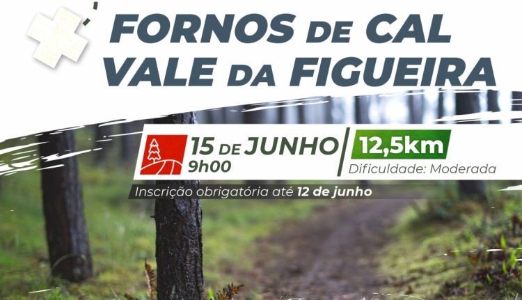 Descubra o nosso concelho a caminhar